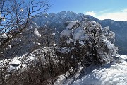 38 Vista in Alben con neve in caduta dagli alberi